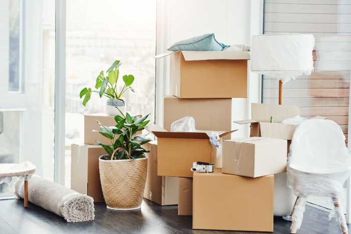 Moving Out and Moving in: First Apartment Checklist 6 First Apartment Checklist